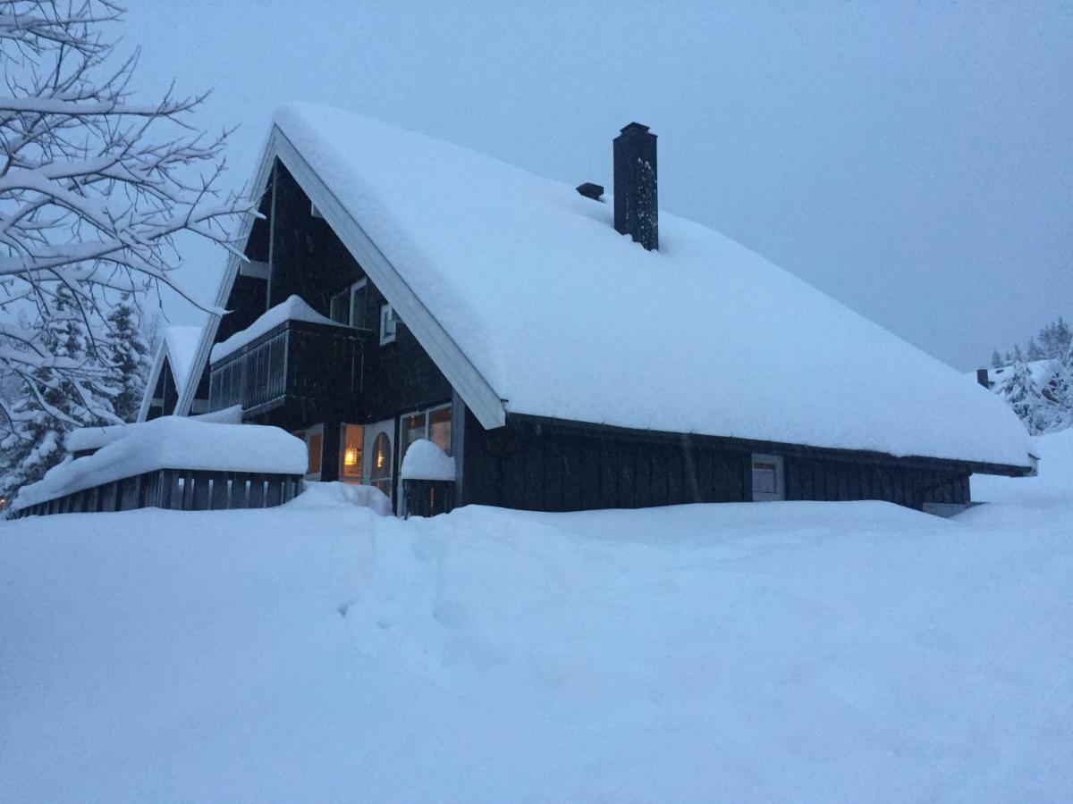 Trysil Alpin 16A Top Location Villa ภายนอก รูปภาพ